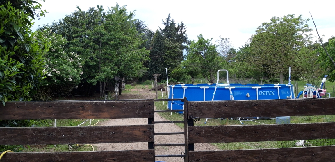 SAINT-PERE-SUR-LOIRE Maison Saint Pere Sur Loire 5 pièce(s) 100 m2 9