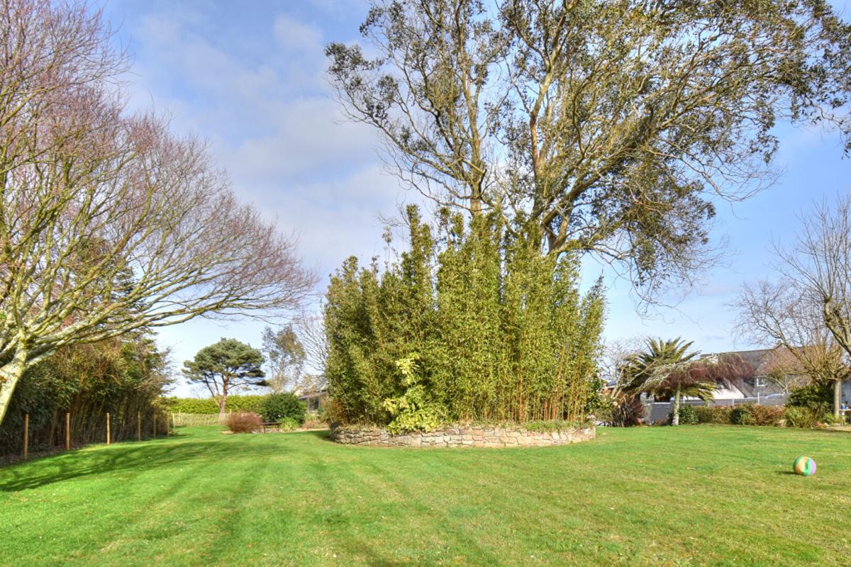 PLEUMEUR-BODOU Vente Maison de plain-pied, 130 m², 4 chambres, terrain clos sans vis-à-vis, Pleumeur-Bodou (22560) 15