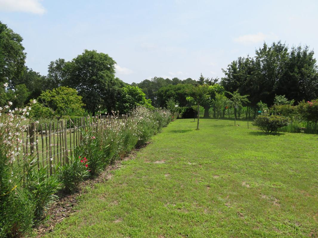 CASTETS Maison Airial  Castets 6