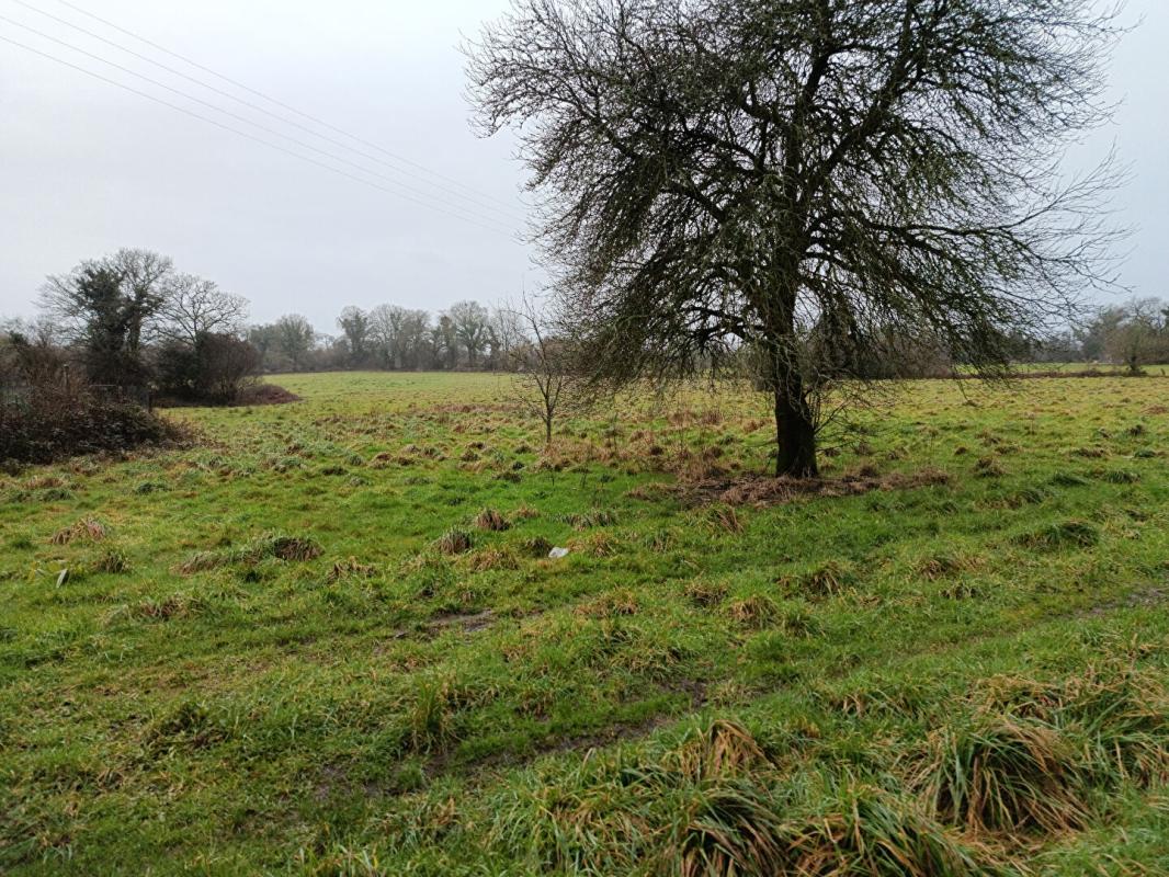 GLOMEL Maison 49 M2  2 chambres 14