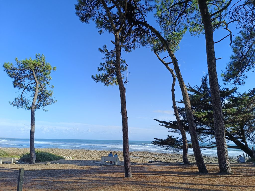 JARD-SUR-MER Appartement T1 de 27.61 m2 - à 300m de l'Océan  Piscine & Tennis 7