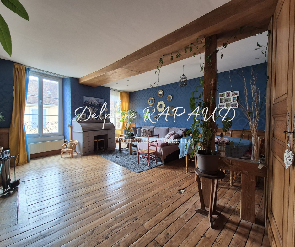 NOGENT-LE-ROTROU Maison de ville pleine de charme en plein coeur de Nogent-Le-Rotrou 3