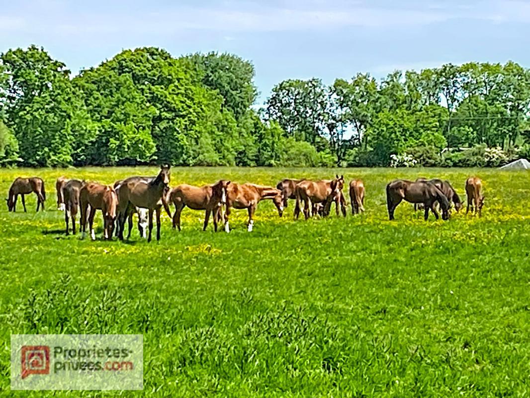 SAINT-BENOIT-D'HEBERTOT Charmante longère normande rénovée avec piscine chauffée et chalet indépendant  - Pays d'Auge 18