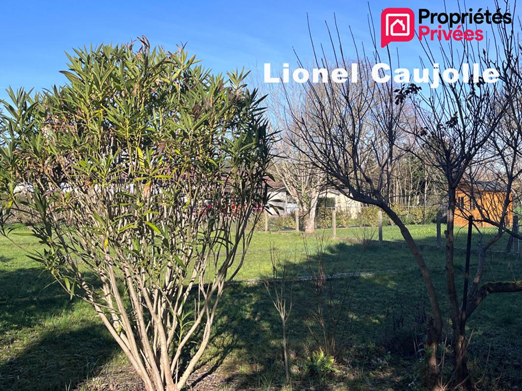 RABASTENS Terrain Rabastens 730 m2, proche école et collège 13