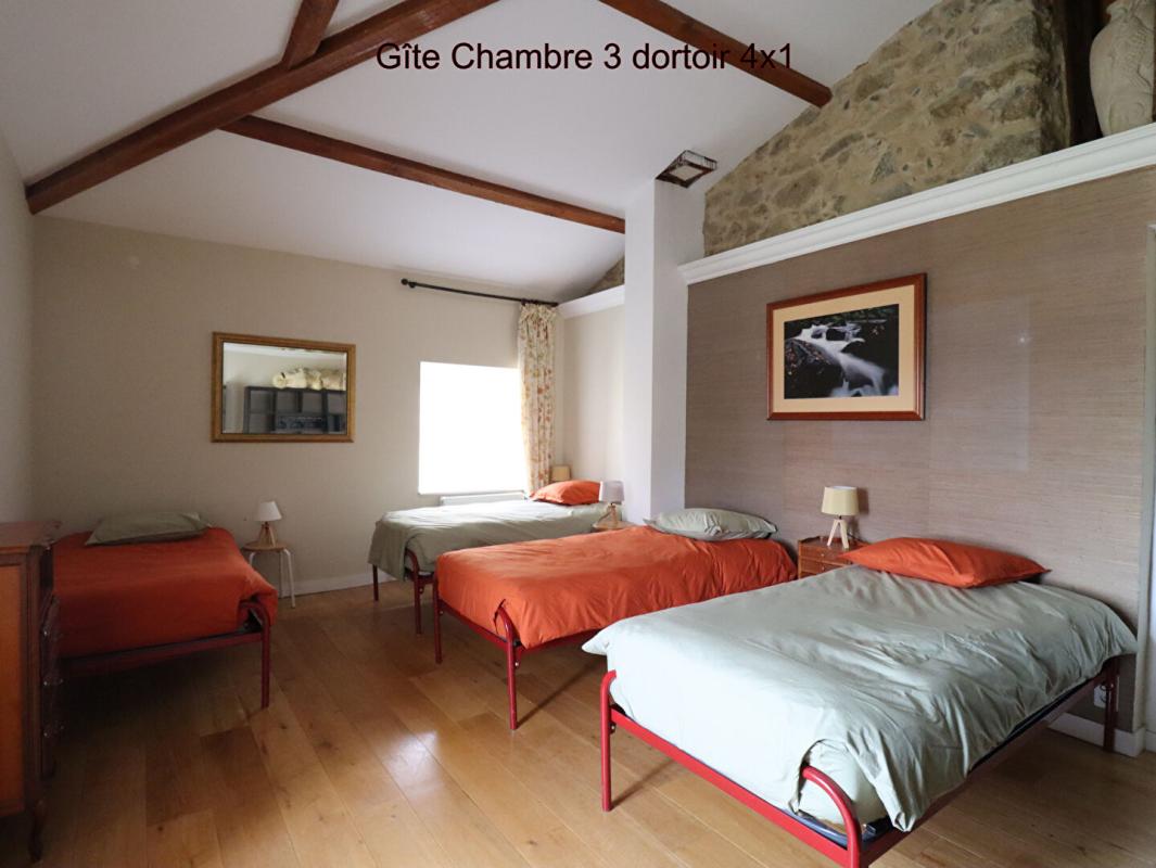 SAINT-JEAN-LA-VETRE Ensemble Gîte grande capacité avec espace détente et maison d'habitation avec terrain de 6000m2 environ 10