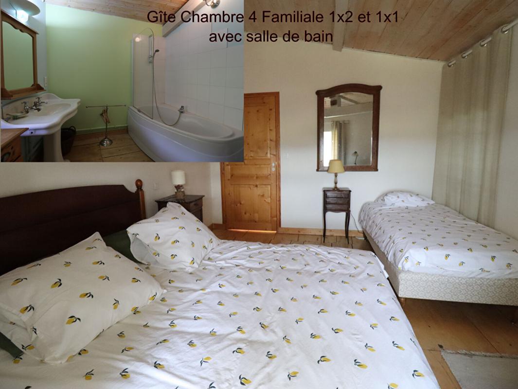 SAINT-JEAN-LA-VETRE Ensemble Gîte grande capacité avec espace détente et maison d'habitation avec terrain de 6000m2 environ 13