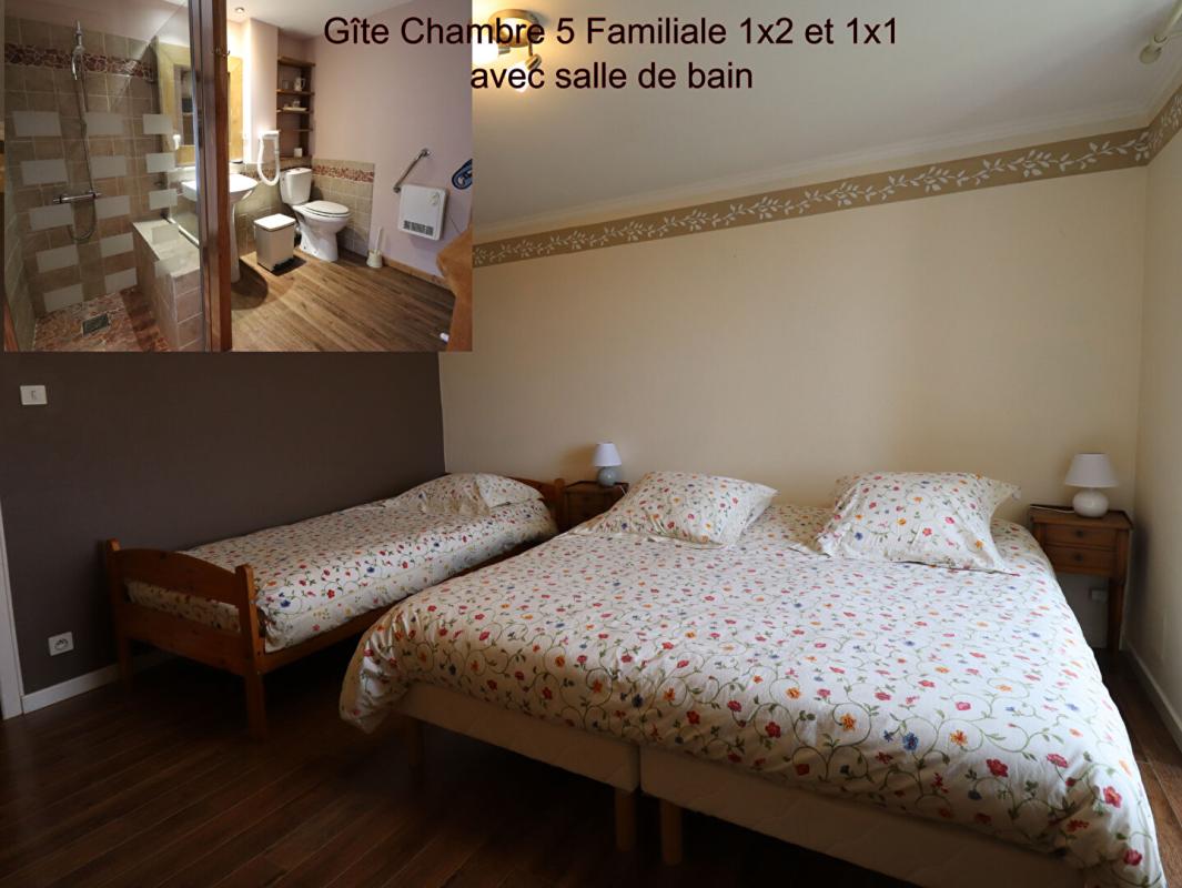 SAINT-JEAN-LA-VETRE Ensemble Gîte grande capacité avec espace détente et maison d'habitation avec terrain de 6000m2 environ 14