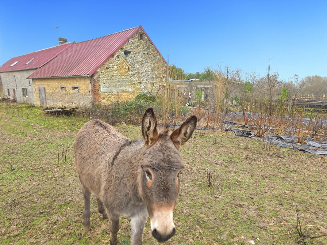 SAINTE-SCOLASSE-SUR-SARTHE Longère Ste Scolasse Sur Sarthe 3 chambres 184 m2 dépendances, 20 boxes 1
