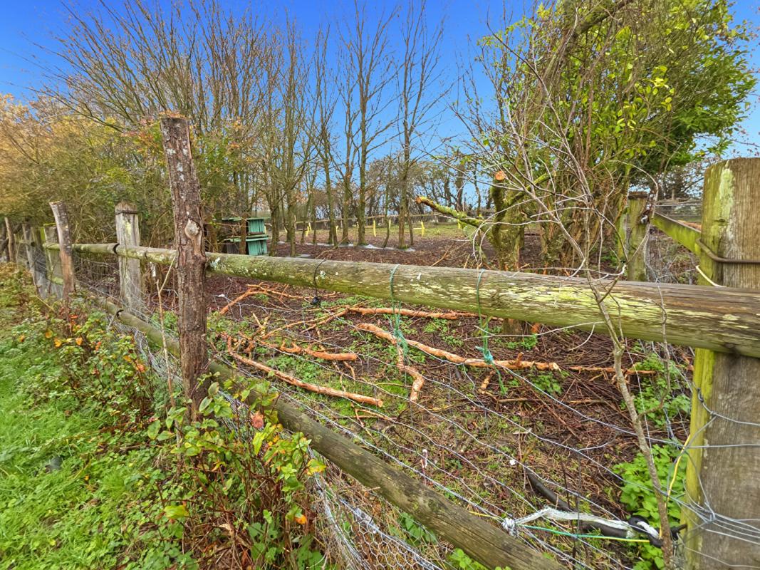 SAINTE-SCOLASSE-SUR-SARTHE Longère Ste Scolasse Sur Sarthe 3 chambres 184 m2 dépendances, 20 boxes 10