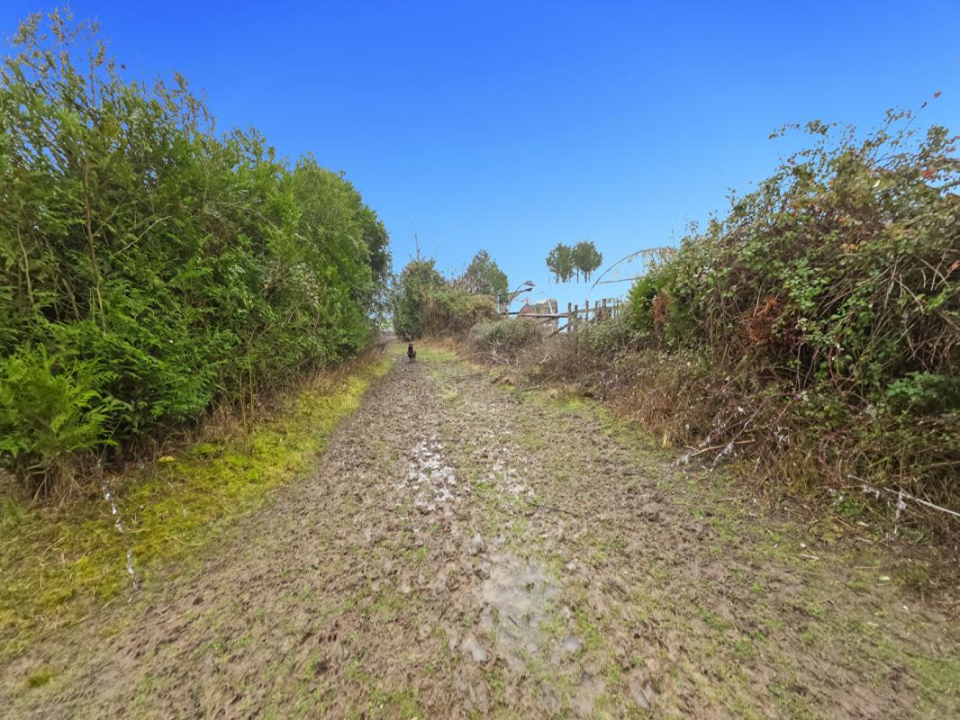 SAINTE-SCOLASSE-SUR-SARTHE Longère Ste Scolasse Sur Sarthe 3 chambres 184 m2 dépendances, 20 boxes 11