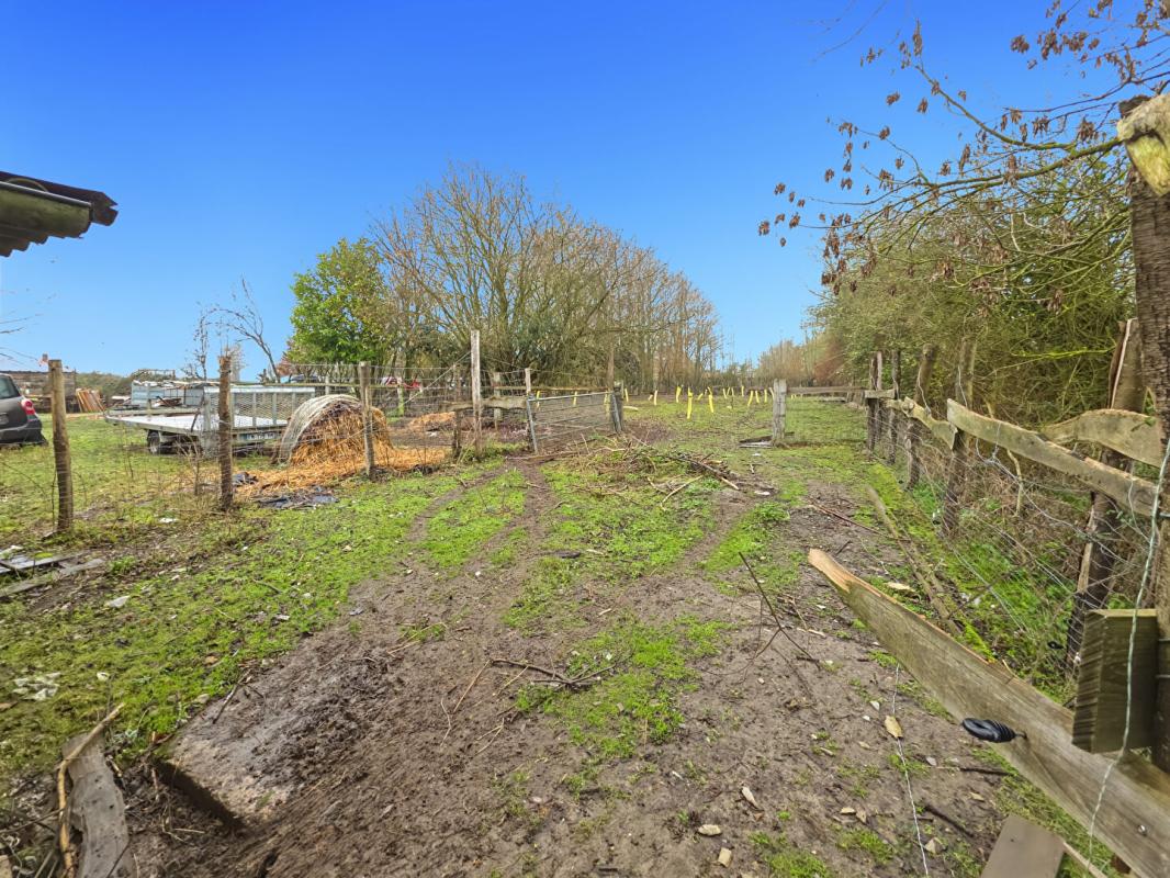 SAINTE-SCOLASSE-SUR-SARTHE Longère Ste Scolasse Sur Sarthe 3 chambres 184 m2 dépendances, 20 boxes 12