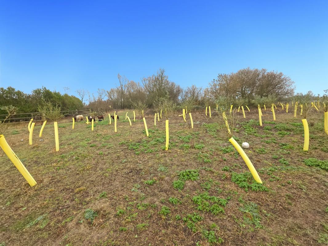 SAINTE-SCOLASSE-SUR-SARTHE Longère Ste Scolasse Sur Sarthe 3 chambres 184 m2 dépendances, 20 boxes 14
