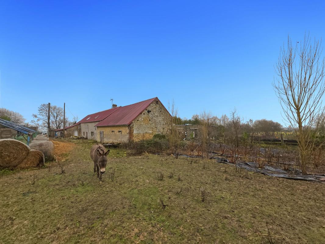 SAINTE-SCOLASSE-SUR-SARTHE Longère Ste Scolasse Sur Sarthe 3 chambres 184 m2 dépendances, 20 boxes 9