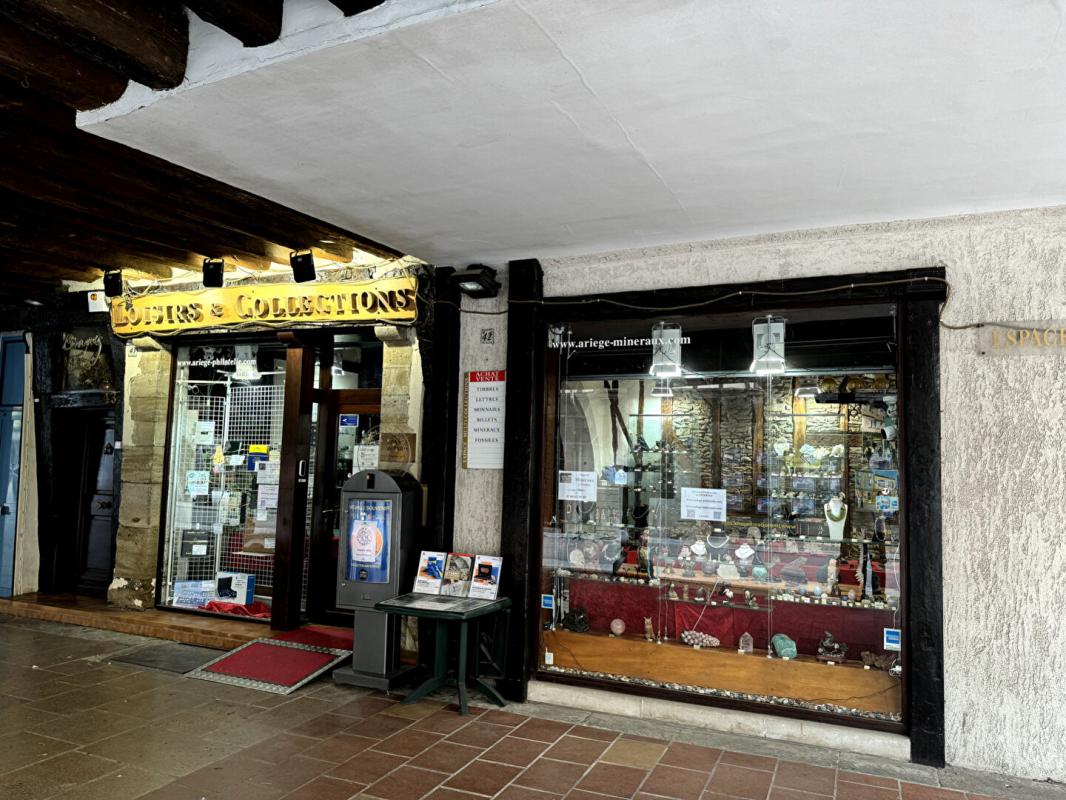 MIREPOIX ensemble 3 immeubles 17