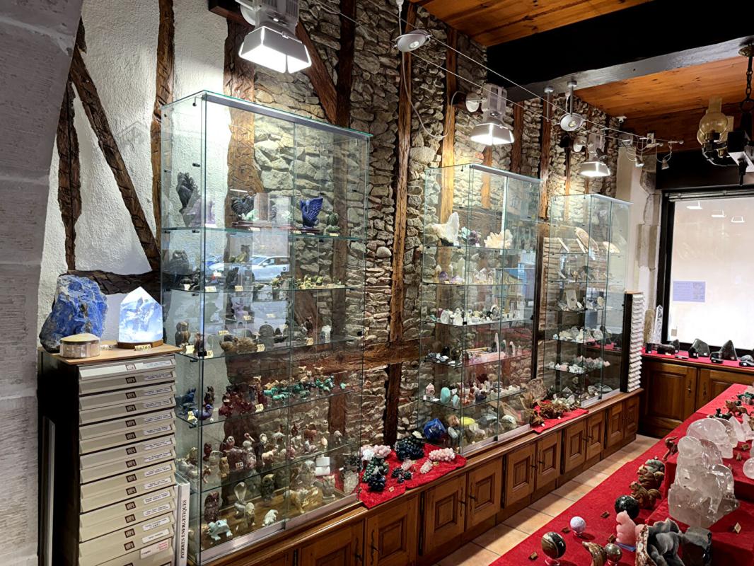 MIREPOIX ensemble 3 immeubles 6