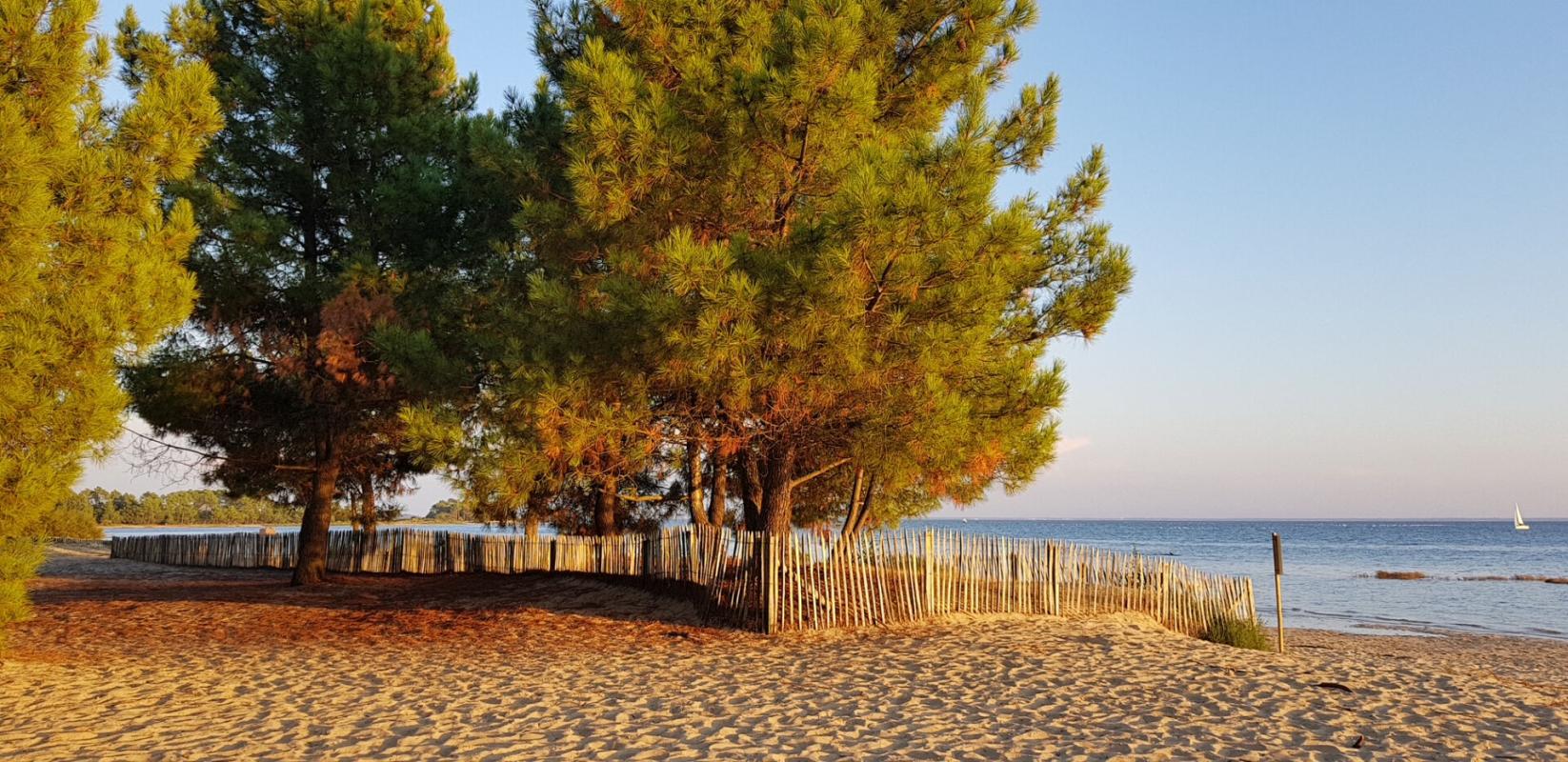 ARES PREMIERE LIGNE BASSIN 1