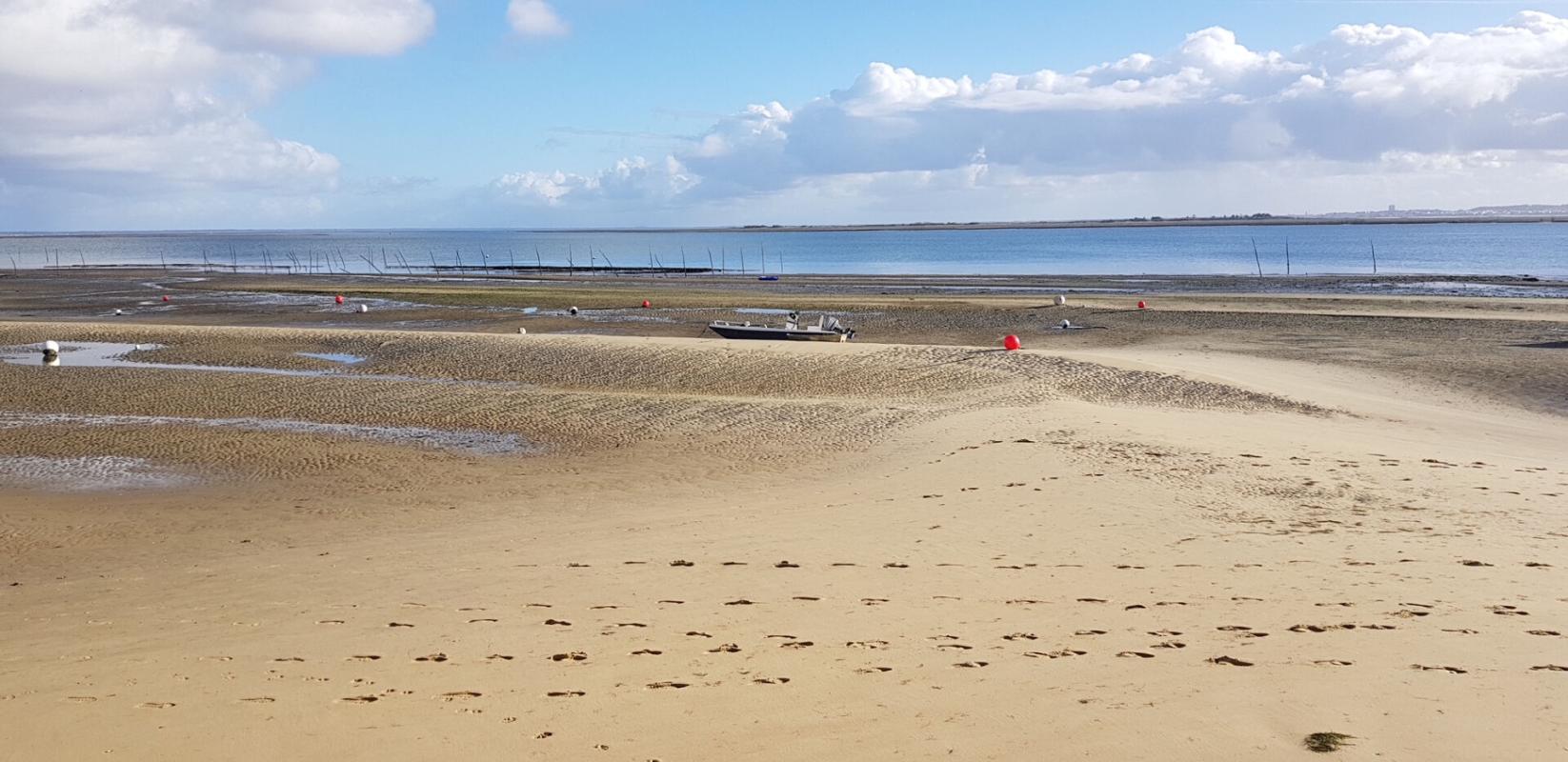 ARES PREMIERE LIGNE BASSIN 3