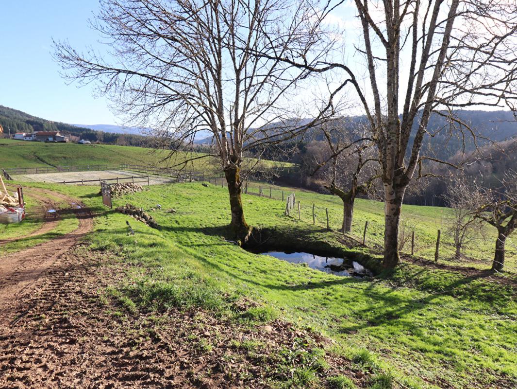 COURPIERE Corps de ferme 6 pièce(s) 350 m2 environ + terrain 27ha avec sources + dépendances 11