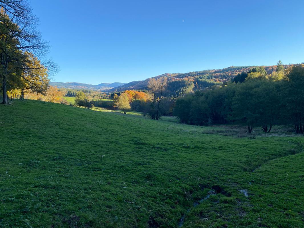 COURPIERE Corps de ferme 6 pièce(s) 350 m2 environ + terrain 27ha avec sources + dépendances 12