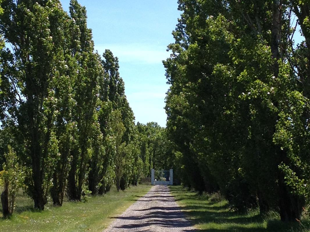 POUCHARRAMET Demeure du 18ème de 289 m² avec piscine et dépendances sur terrain de 3 hectares 17