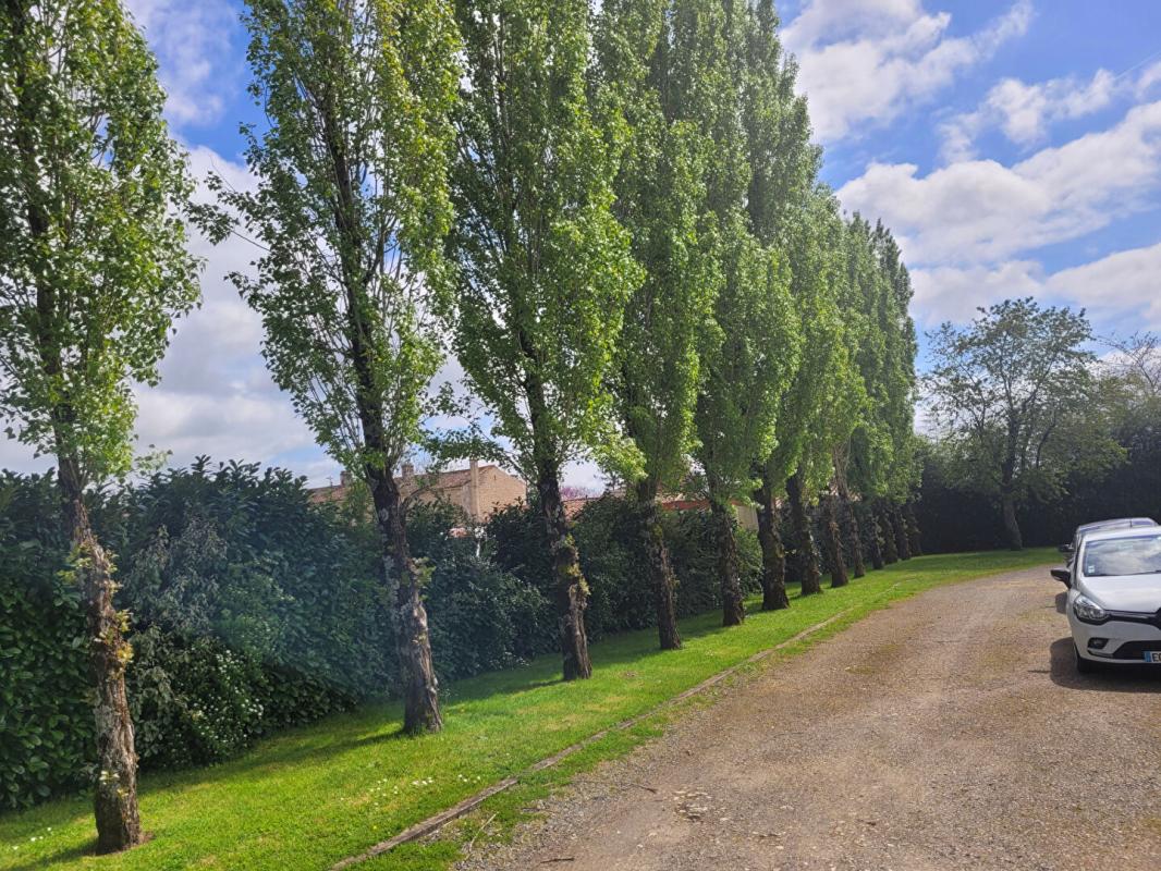 NIEUL-SUR-L'AUTISE Maison Rives D Autise 5 pièce(s) 152 m2 12