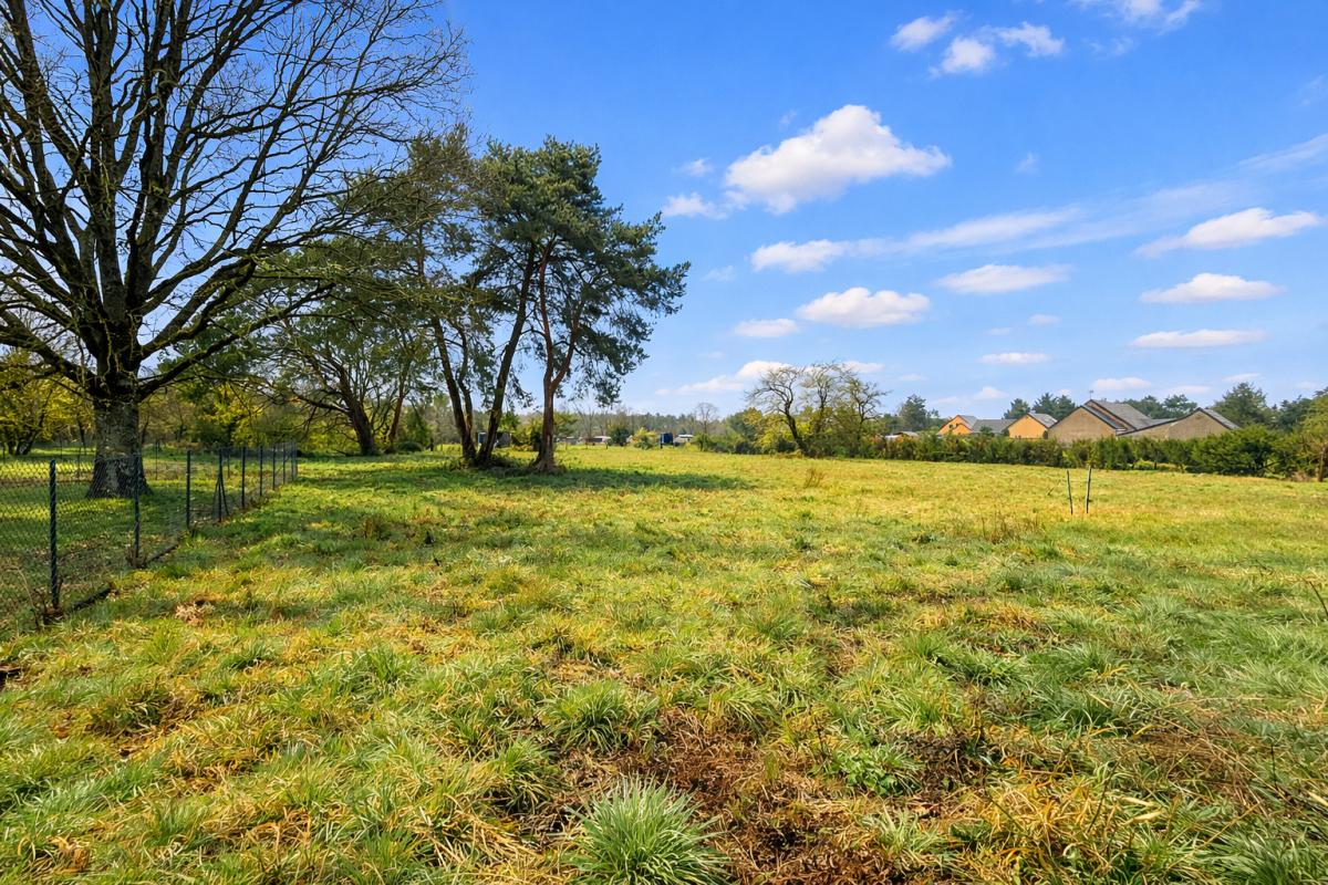 VILLEFRANCHE-SUR-CHER Terrain Villefranche Sur Cher 2496 m2 2