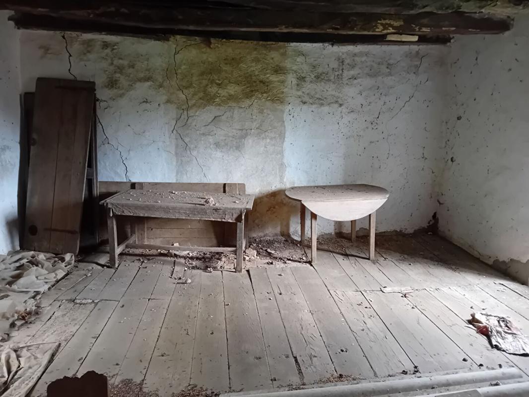 PARISOT Ferme 250m²  2 maisons grange 10