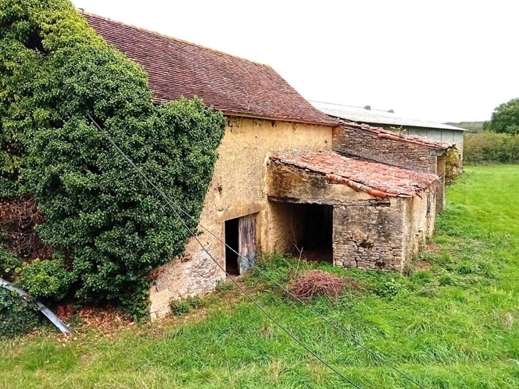 PARISOT Ferme 250m²  2 maisons grange 13