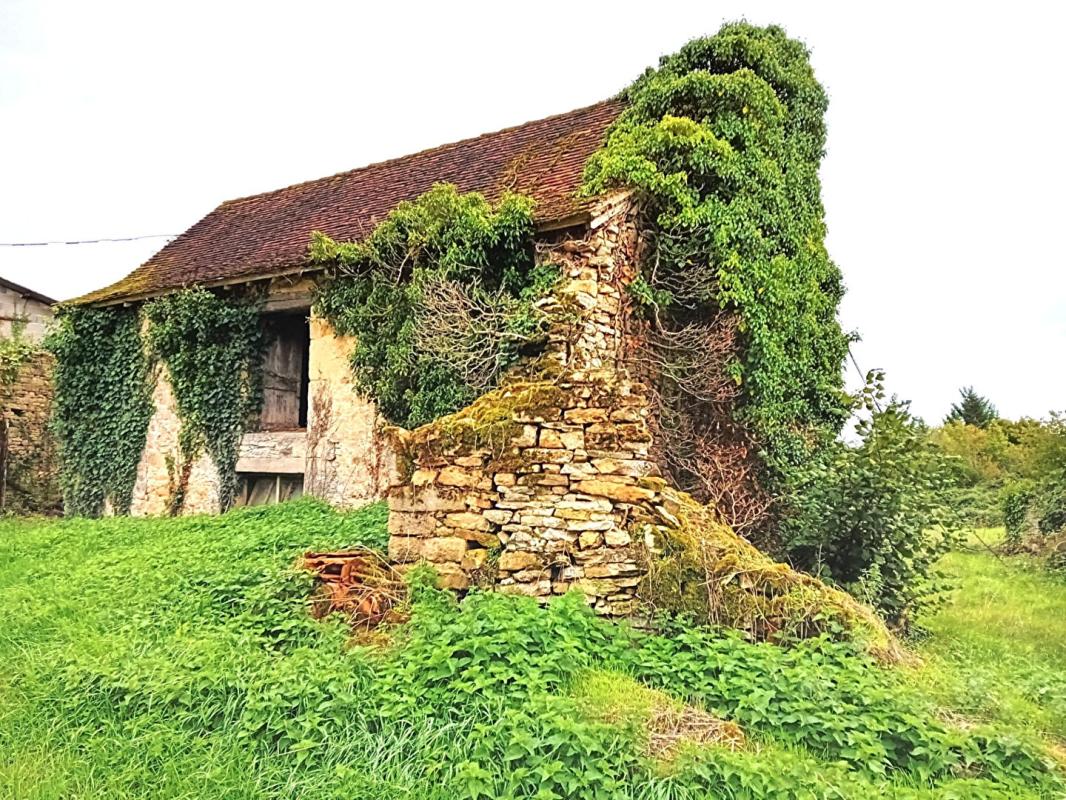 PARISOT Ferme 250m²  2 maisons grange 14