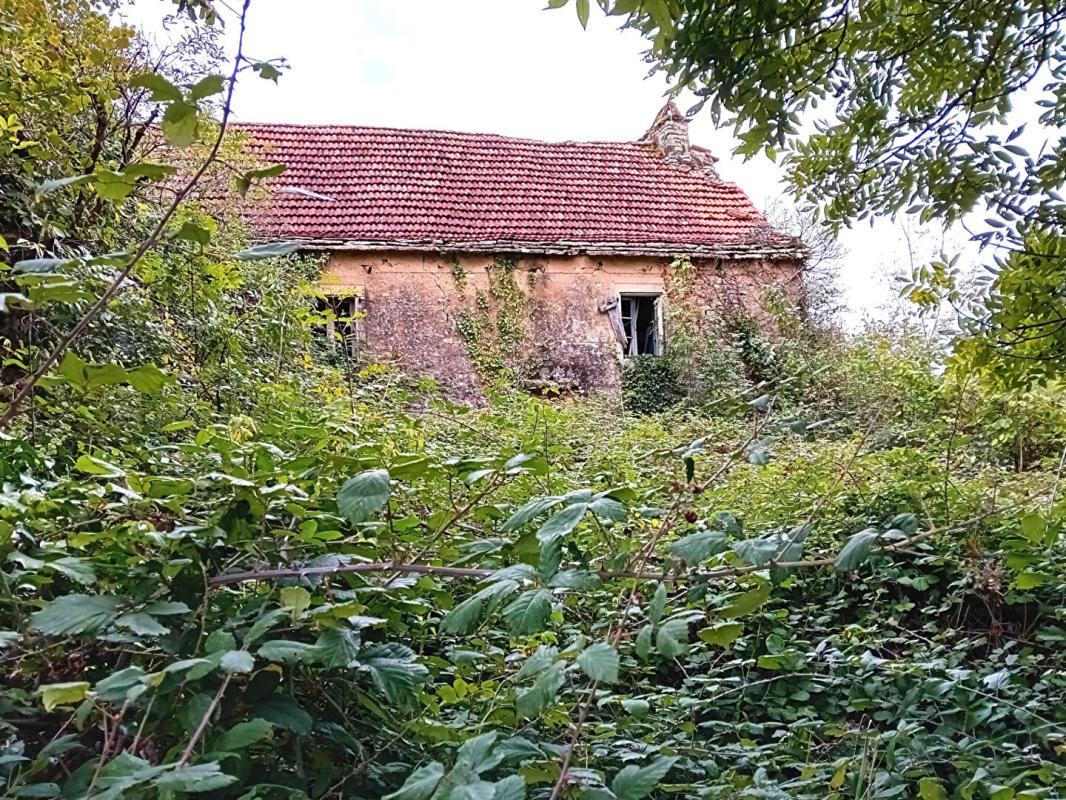 PARISOT Ferme 250m²  2 maisons grange 15