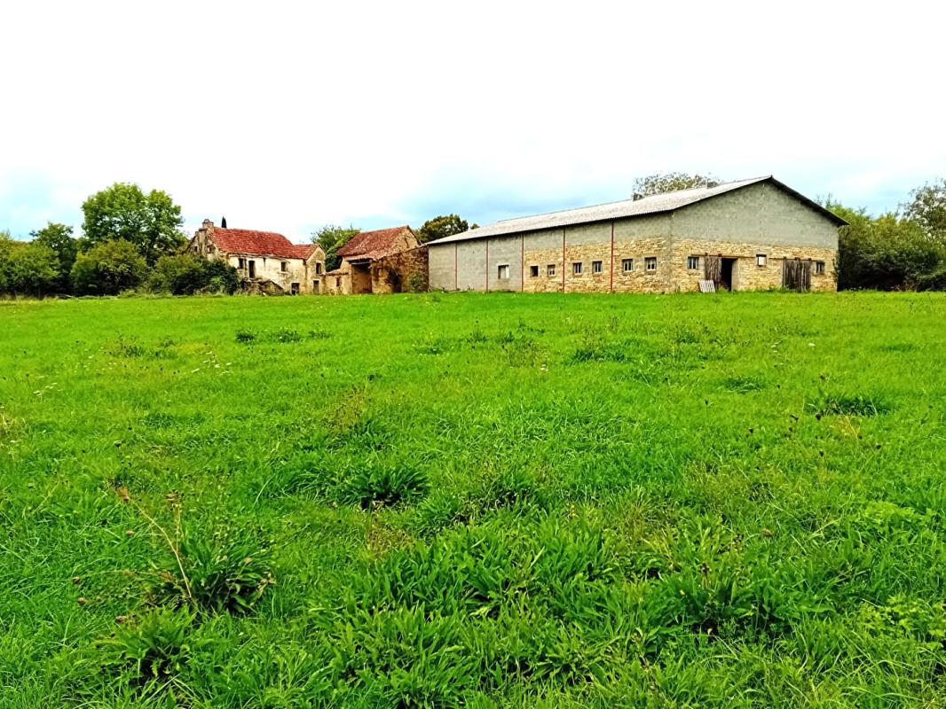 PARISOT Hangar agricole Bergerie 480m² 4