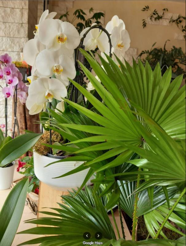 PARIS-13E-ARRONDISSEMENT 75013 PARIS : RARE !! FLEURISTE - 72 M² AVEC LOGEMENT DE FONCTION 43 M²  - SITUÉ SUR UN BOULEVARD 4