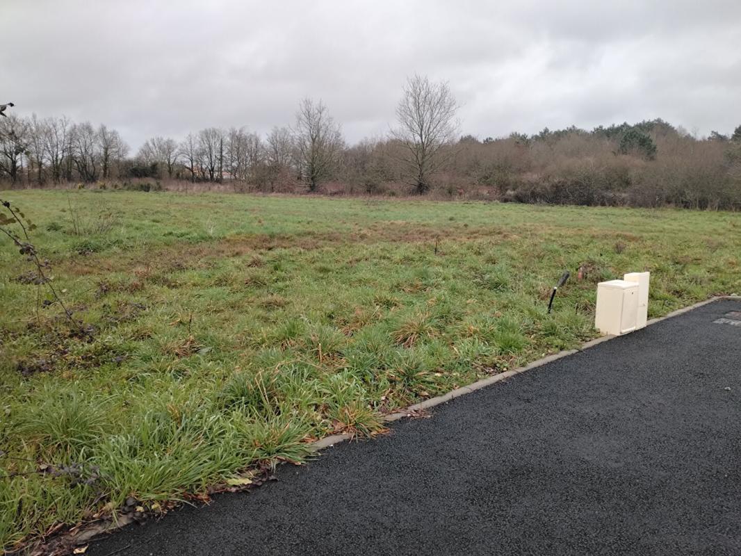 LA MARNE Terrain La Marne 913 m2 2