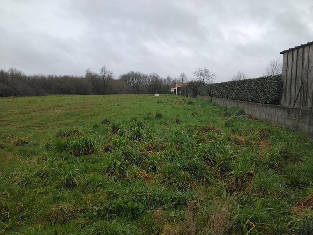 LA MARNE Terrain à La Marne 2