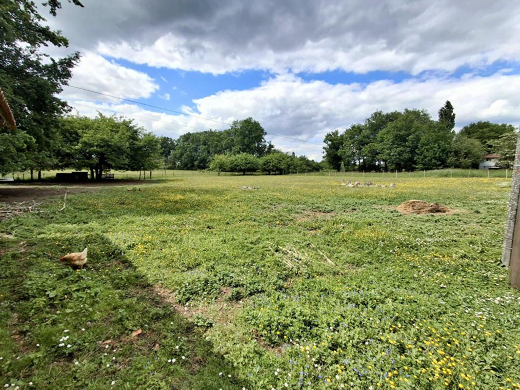 PUGNAC Belle Girondine de 170 m² sur 2 hectares ! 18