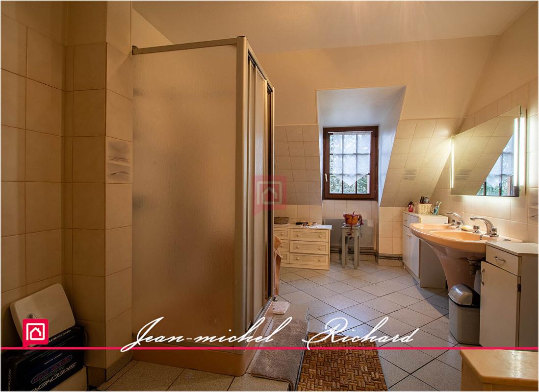 GY-EN-SOLOGNE Maison Solognote 6 pièce(s) 210m2 11