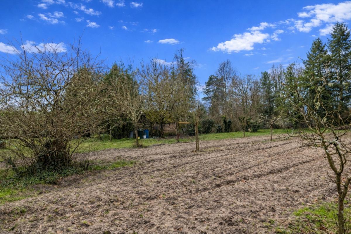 GY-EN-SOLOGNE Maison Solognote 6 pièce(s) 210m2 12