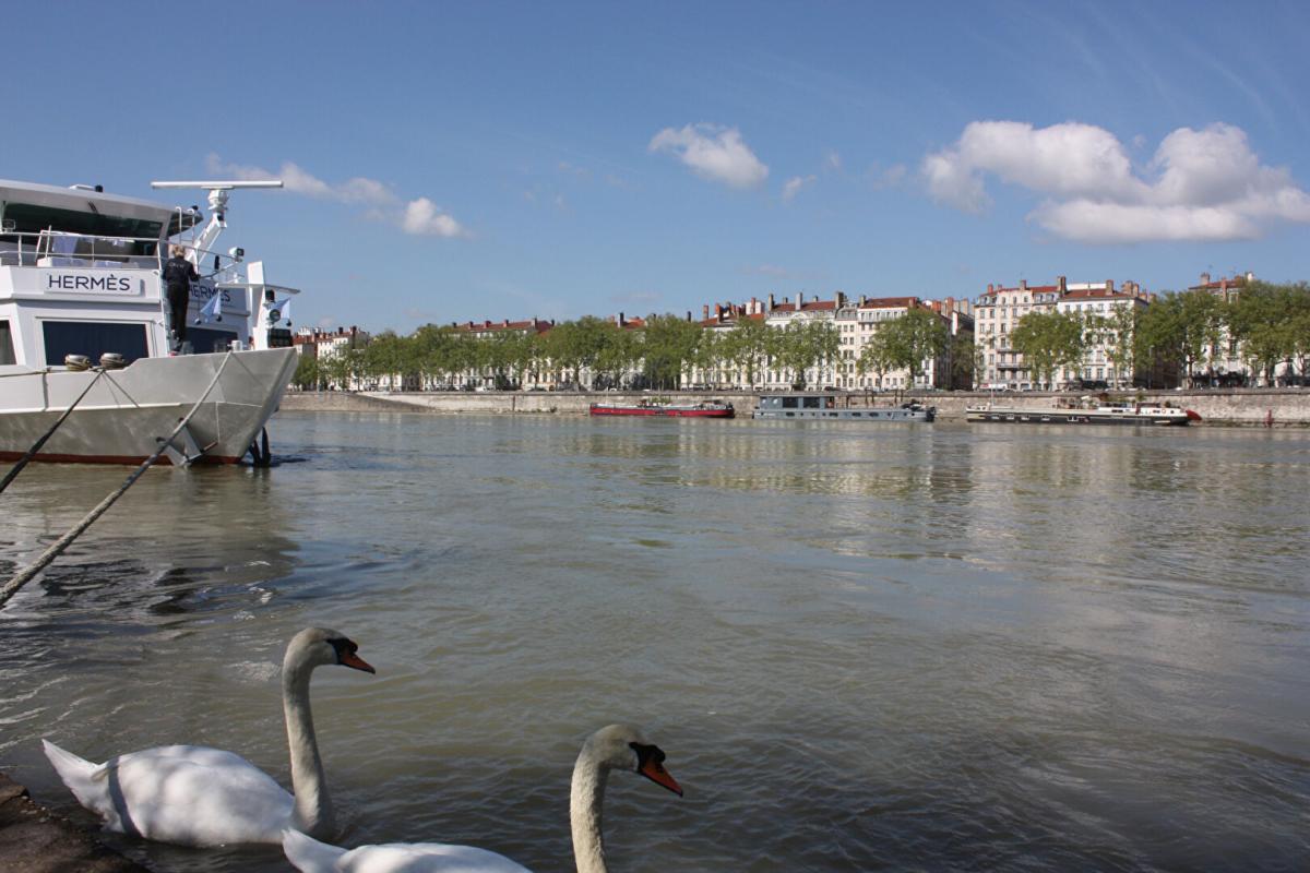 LYON-2E-ARRONDISSEMENT Appartement Lyon Centre 4 pièce(s) 100 m2 Auguste Comte 6