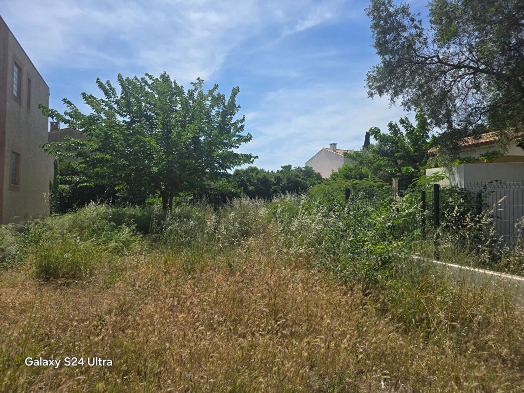 FRONTIGNAN TERRAIN A BÂTIR, VIABILISE & LIBRE DE CONSTRUCTION de 305 m² 3