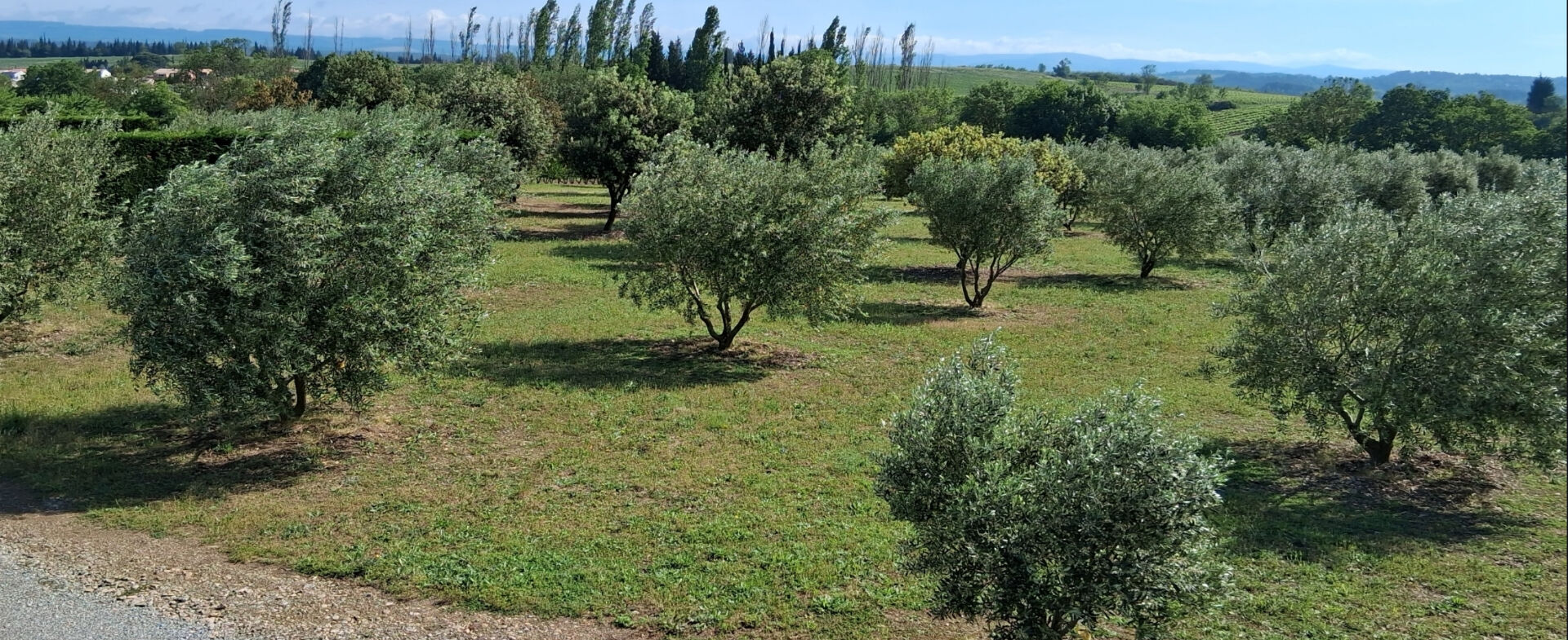 PEZENS Superbe terrain de loisir avec Hangar 3