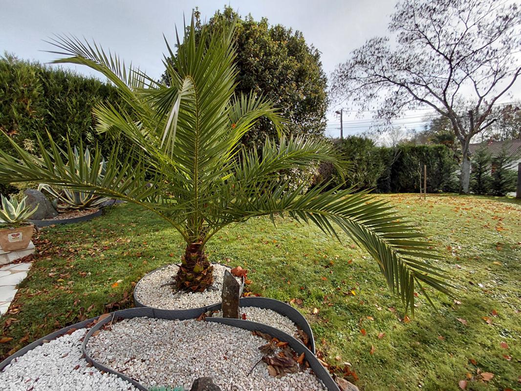 GORGES Gorges à 15MN DE NANTES 11