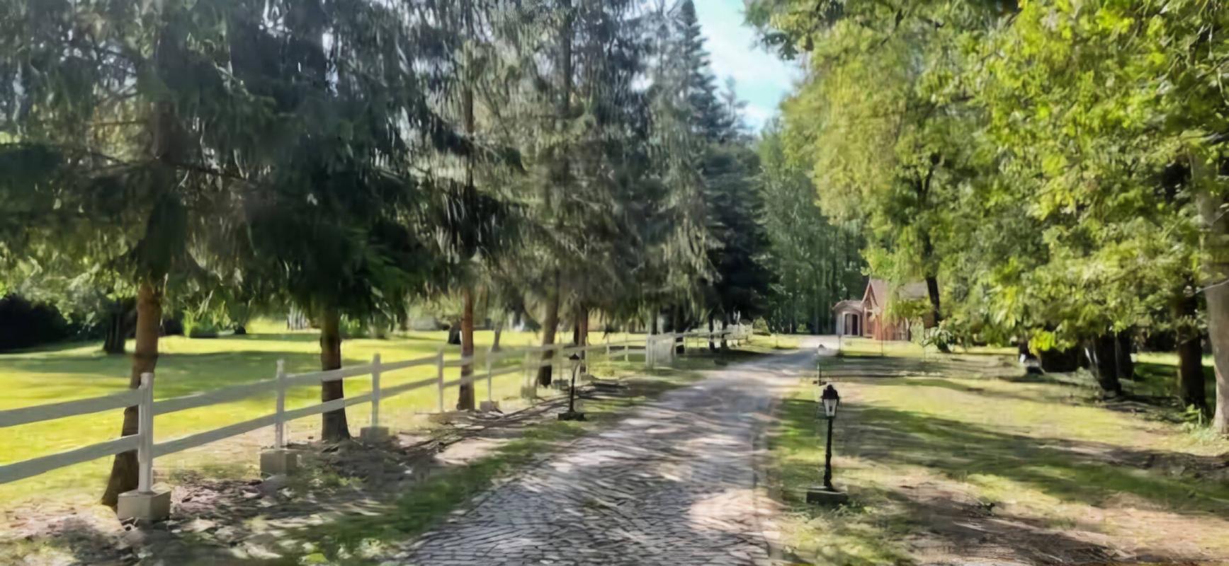 SULLY-SUR-LOIRE PROPRIETE SUR 2.7 HECTARES 11