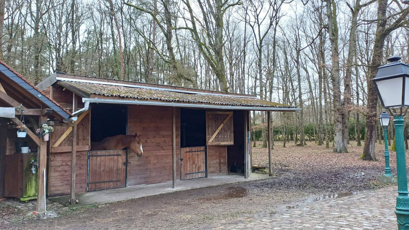 SULLY-SUR-LOIRE PROPRIETE SUR 2.7 HECTARES 14