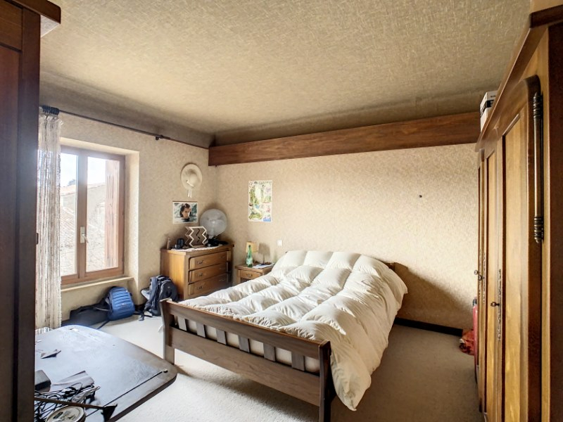 OLONZAC Maison de maître  Olonzac 12 pièce(s) 349 m2 12