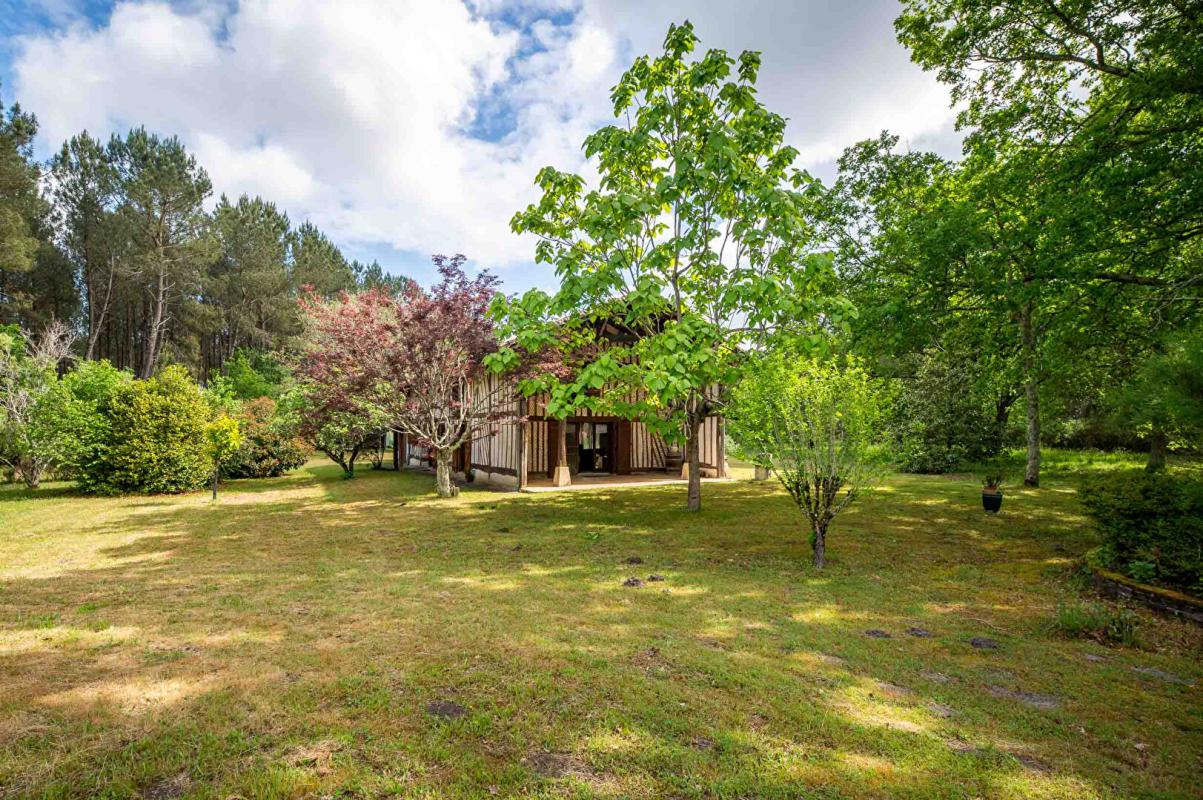 AZUR Maison Landaise entre pins et Océan 17