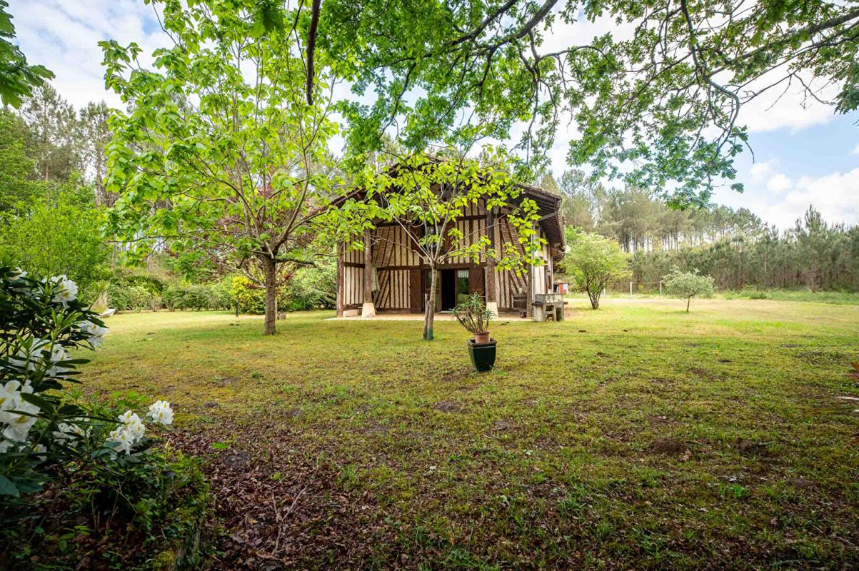 AZUR Maison Landaise entre pins et Océan 6