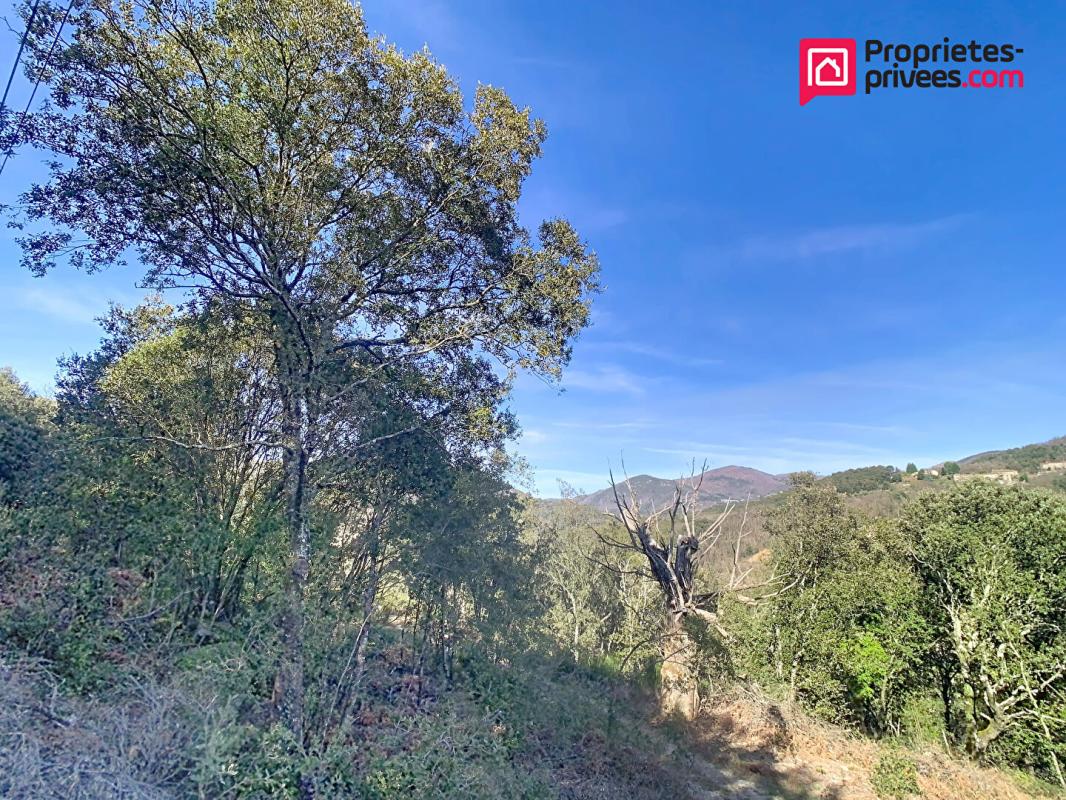 SAINT-ANDRE-DE-MAJENCOULES Maison Saint Andre De Majencoules 10 pièce(s) 185 m2 9