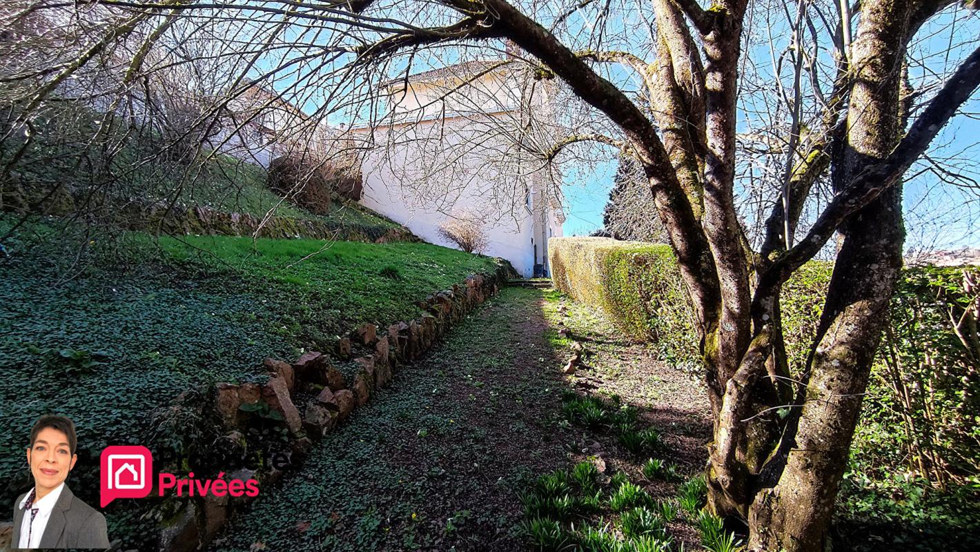 THIZY THIZY-LES-BOURGS (69240) Maison de bourg  320 m² , jardin, dépendances et garage 17