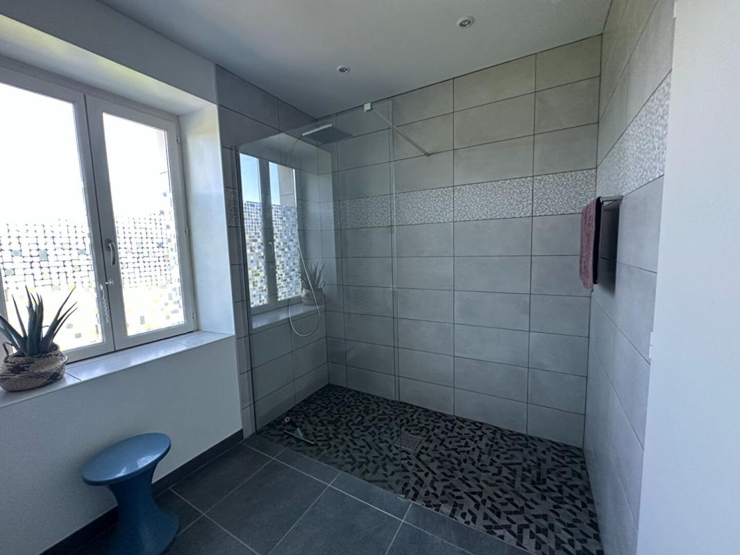 VICQ-SUR-NAHON Magnifique bien sur la commune de Vicq Sur Nahon 12