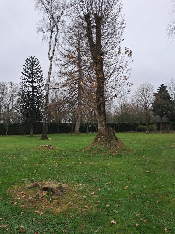 LA CHAPELLE-CARO Terrain arboré et constructible 2